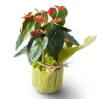 Heart On A Stem - Simple Loving Gift That Grows