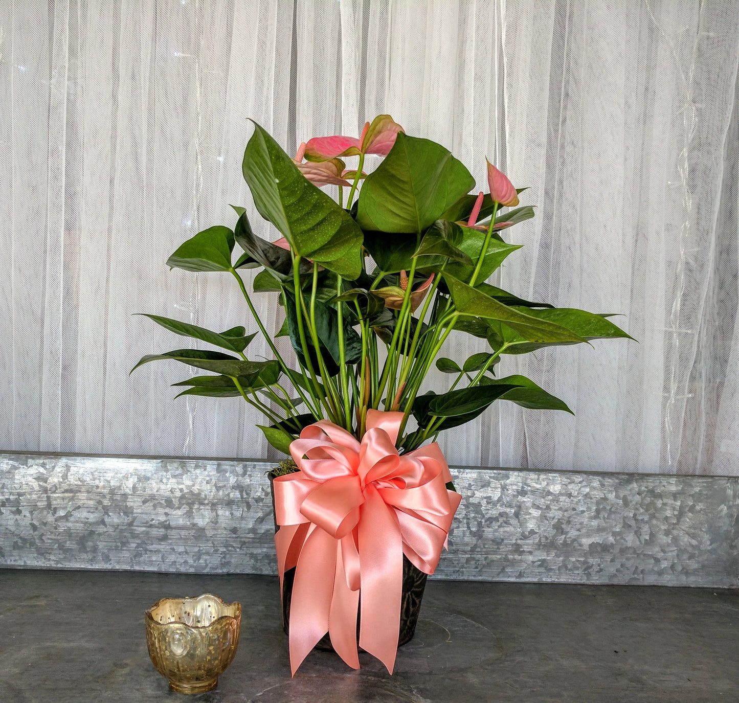 Heart On A Stem - Simple Loving Gift That Grows