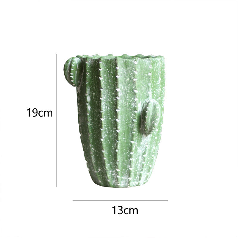 Cactus flower pot