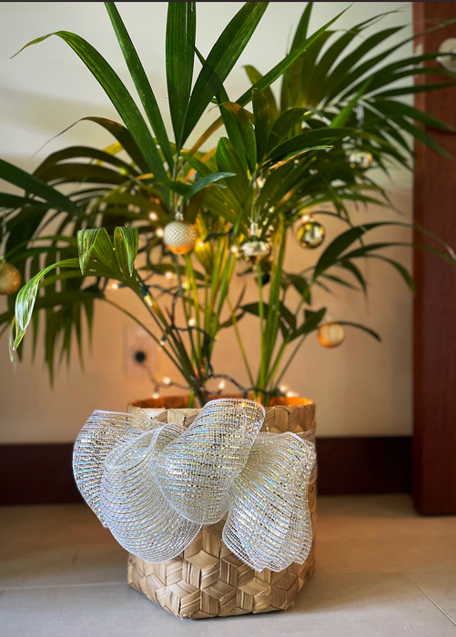 Hawaii Christmas Palm-Tastic Theme