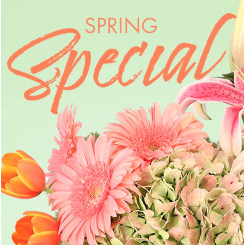 Budget Friendly Orders Starting at $45
