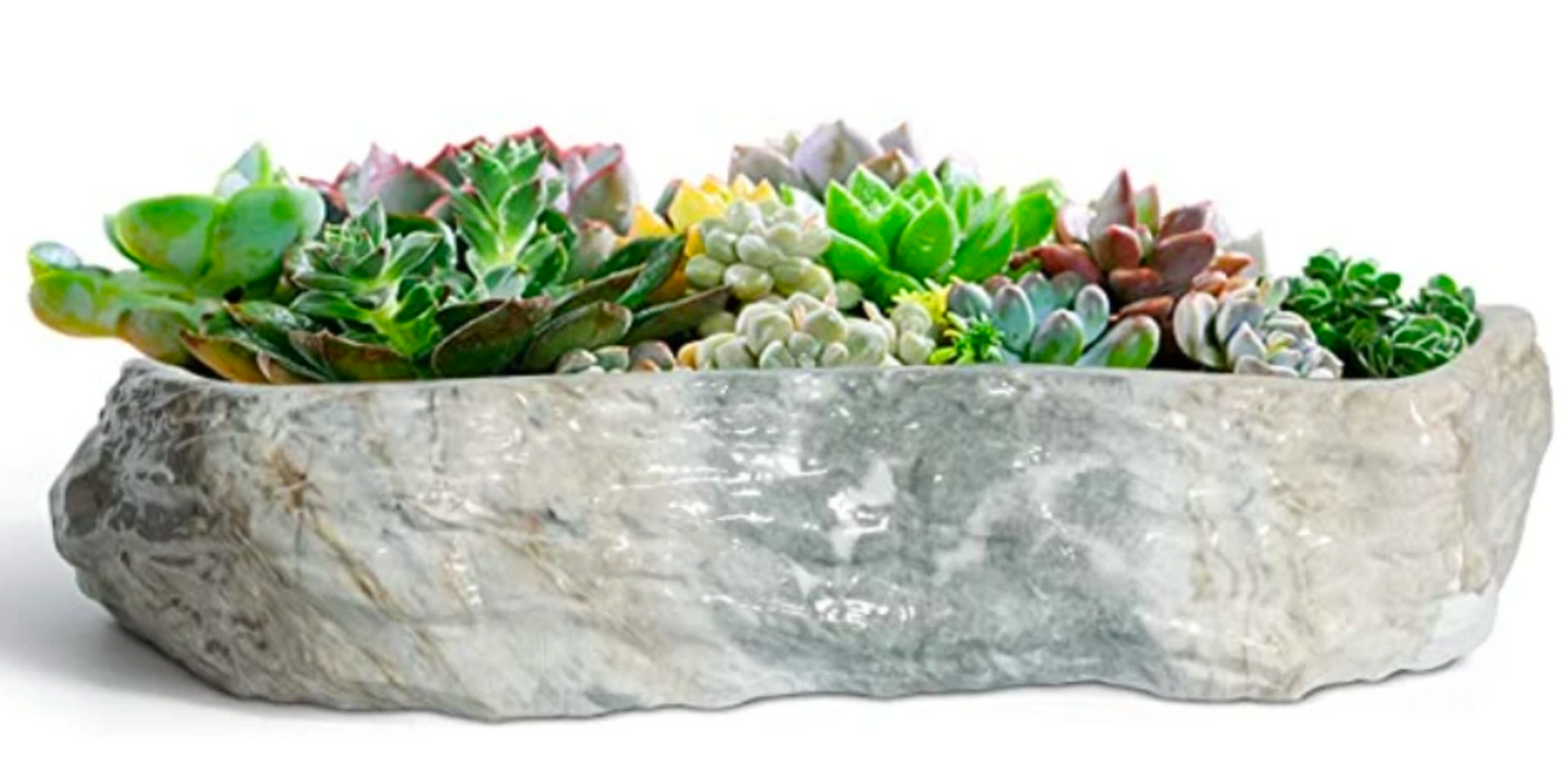 Porcelain Faux Rock ~ Live Succulent Arrangment