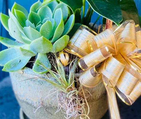 Add a Succulent Rosette and Ceramic Pot