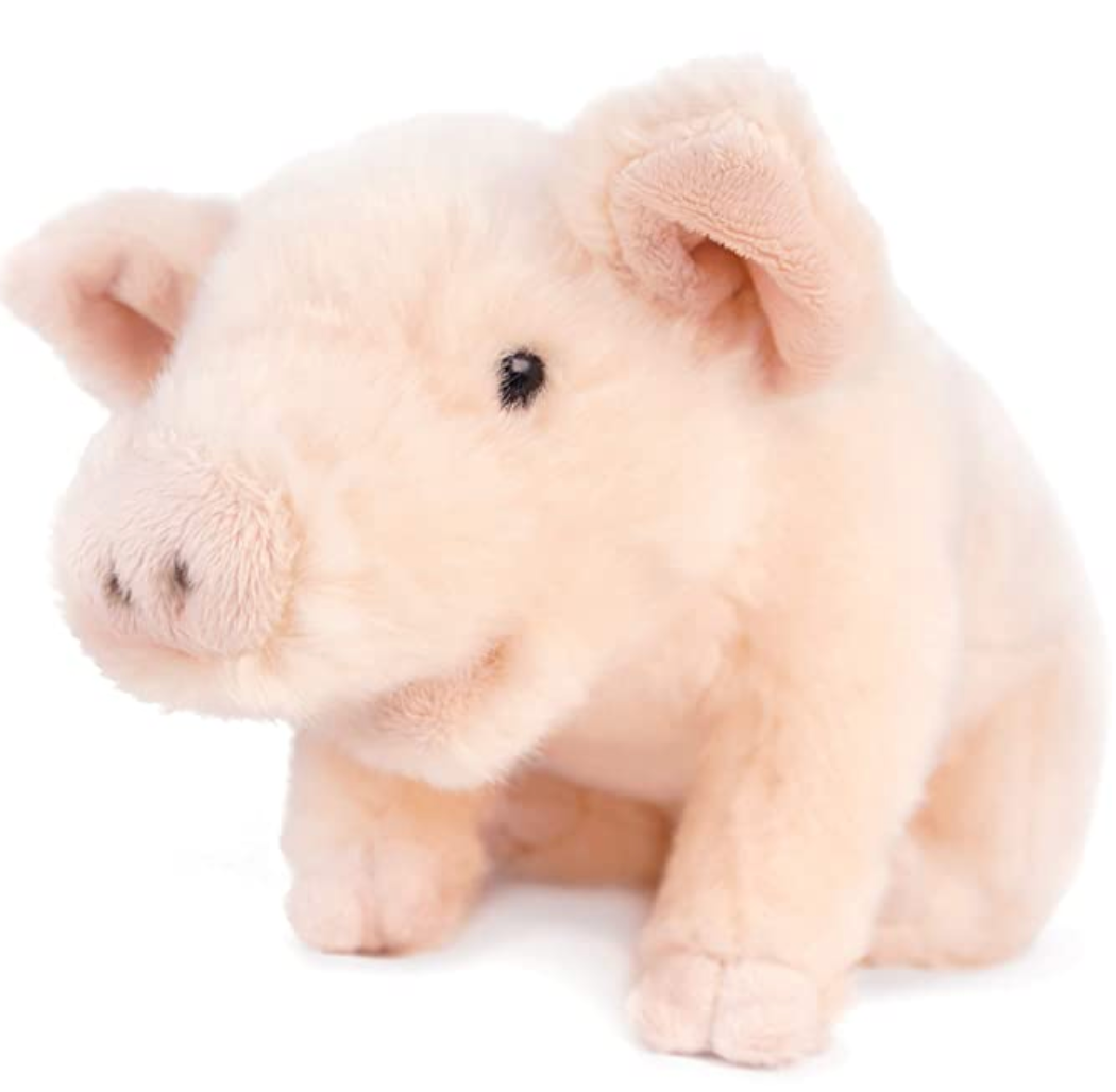 Upcountry Maui Pig 10"
