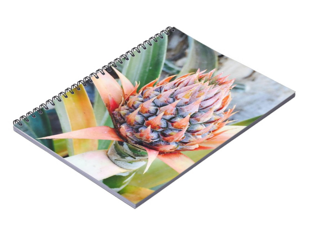 Makena Maui Spiral Keepsake Notebook