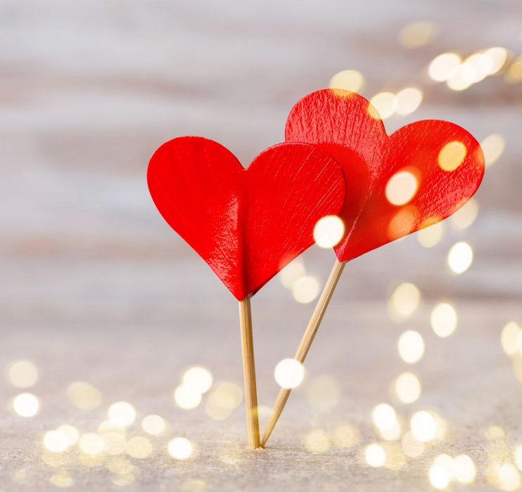 Valentine's Sweets & Plant Gift Delivery Pre-Order