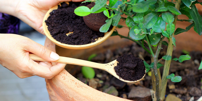 Lehua's Forest "Secret Recipe" Organic Fertilizer