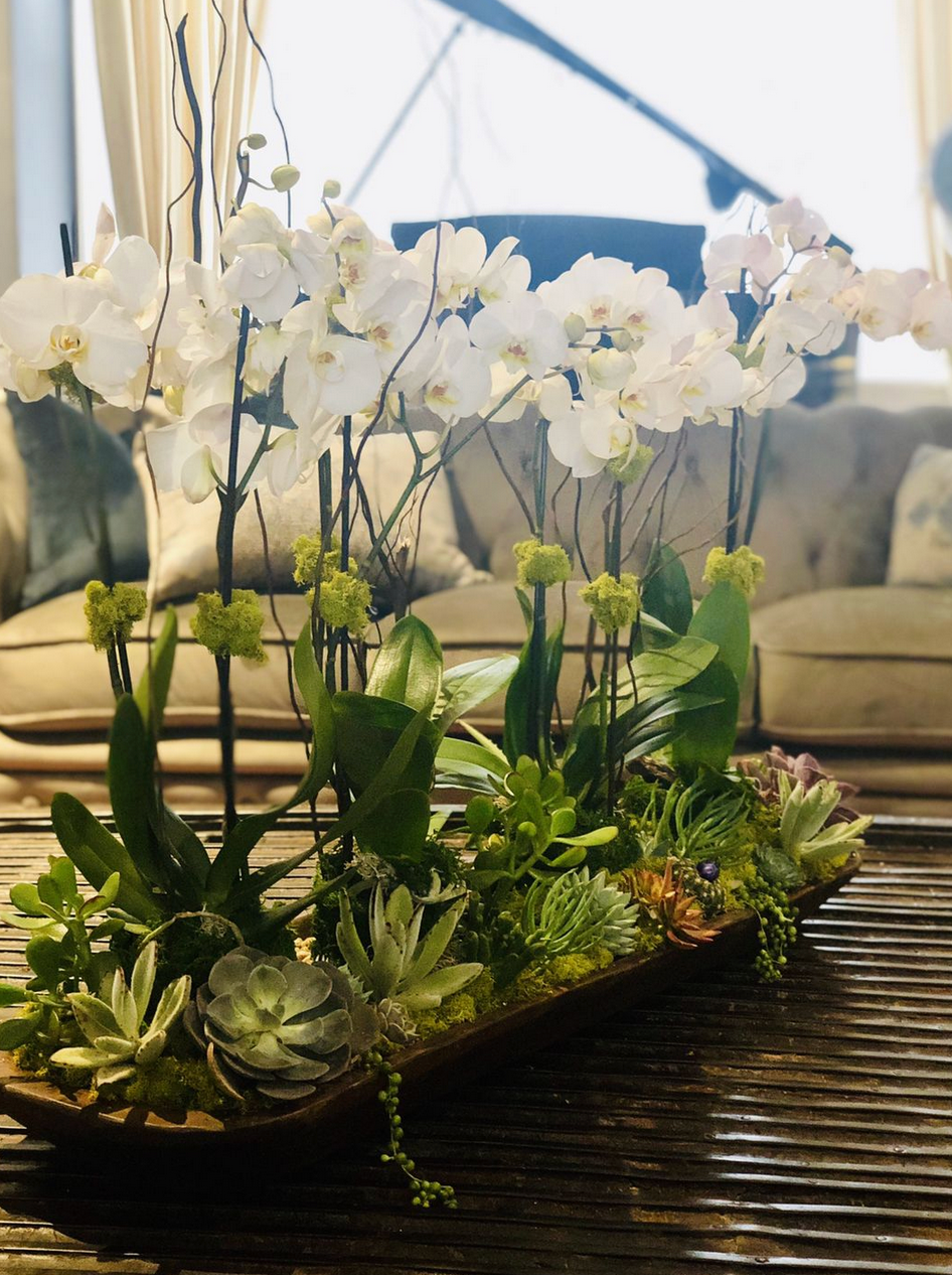 Orchid Arrangements