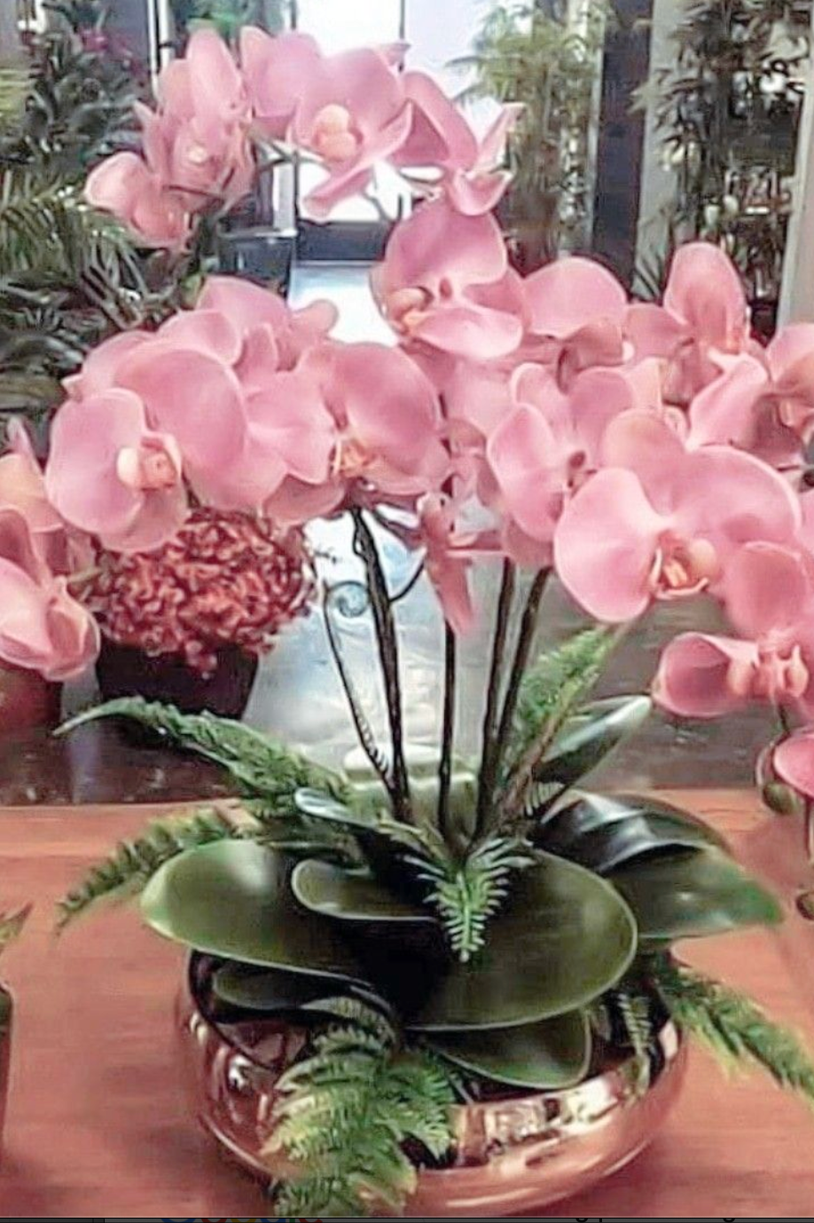 Orchid Arrangements