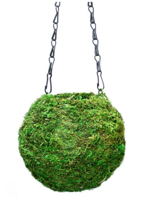 Kokedama, Fresh Green