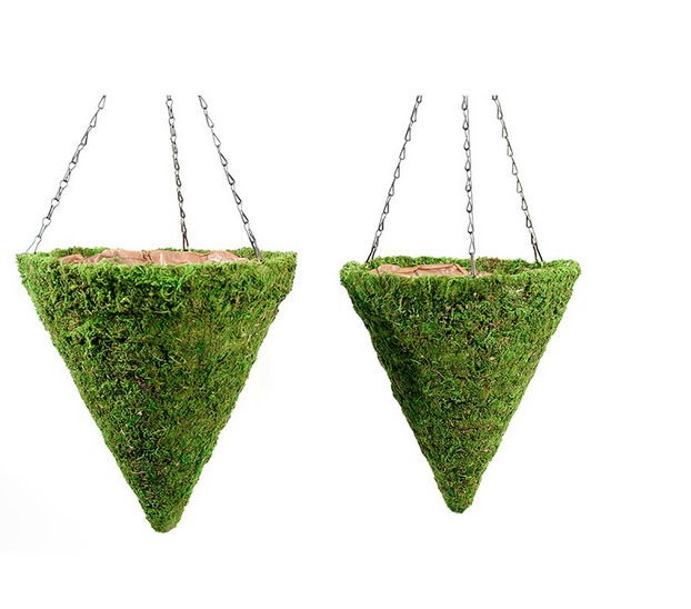 Kokedama, Fresh Green