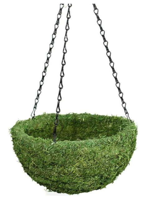 Kokedama, Fresh Green