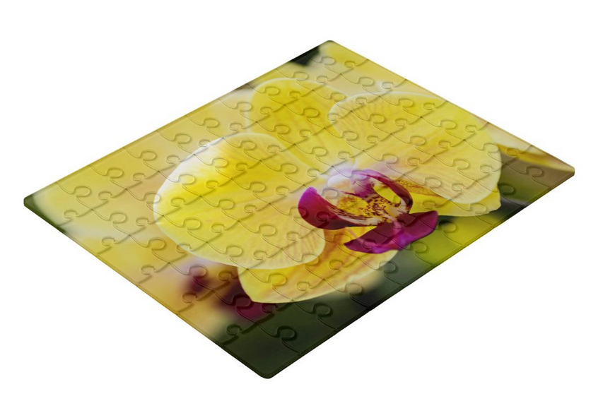 Acrylic Puzzle with Case