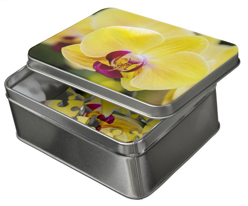 Acrylic Puzzle with Case