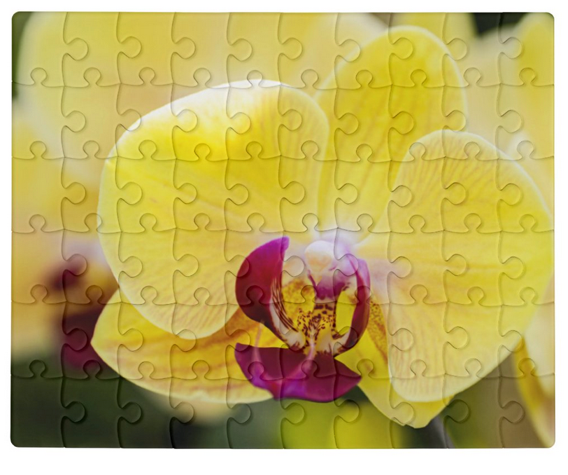 Acrylic Puzzle with Case