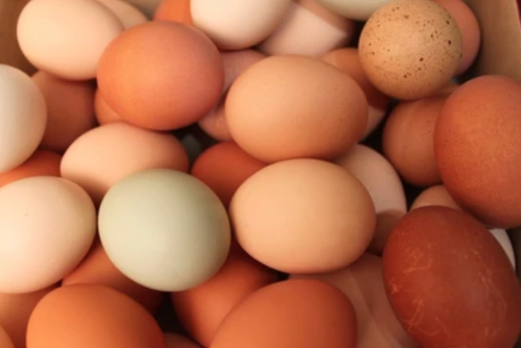 Fresh Kula Eggs