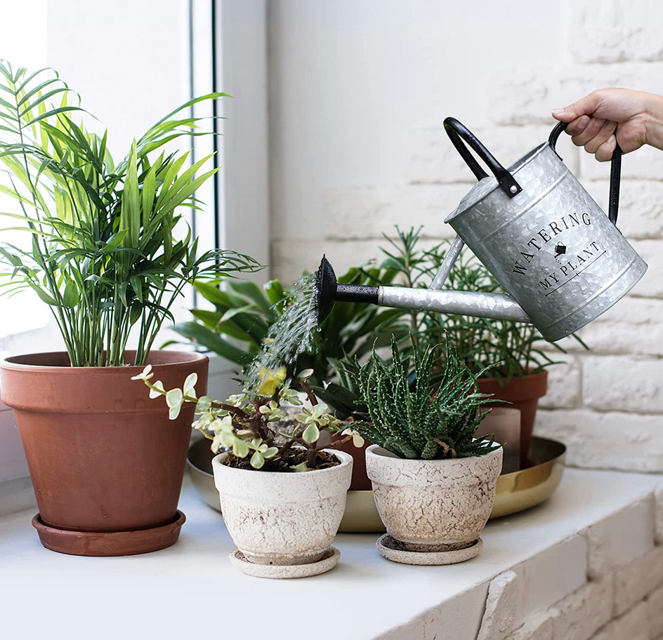 Galvanized Countryside Style Watering Can