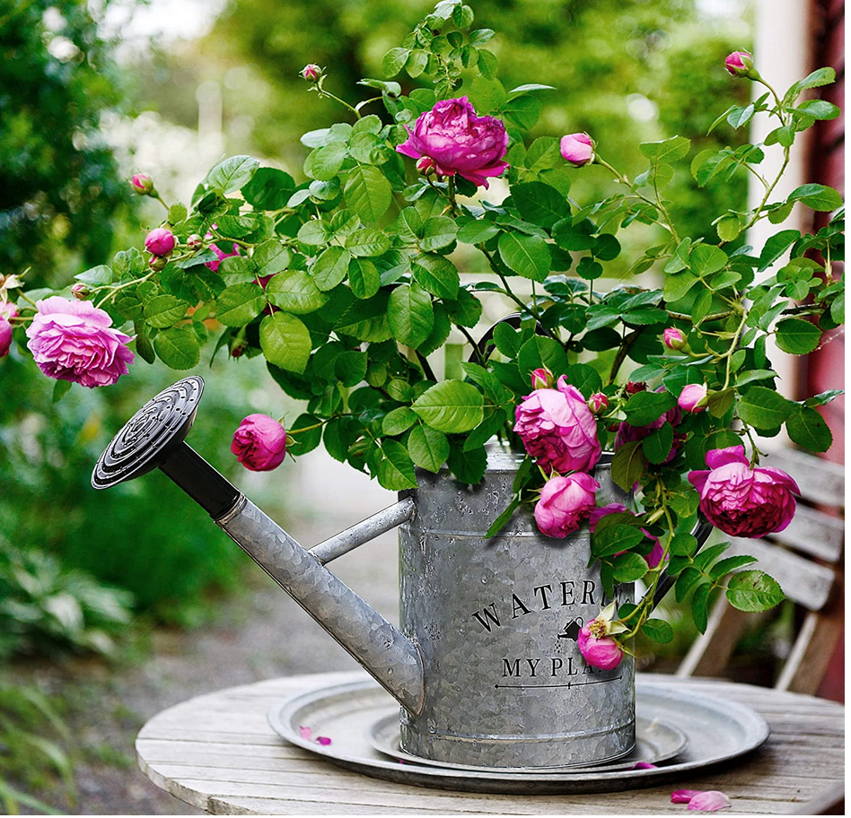 Galvanized Countryside Style Watering Can