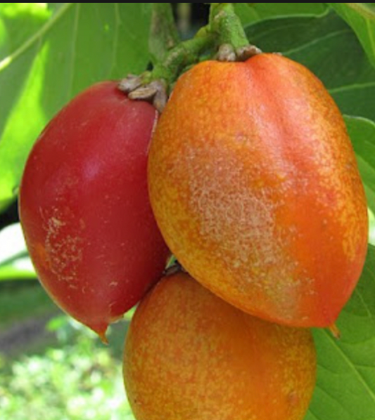 What is the Hawaiian peanut butter fruit?