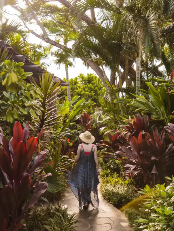 Maui Gardening & Planting Tips