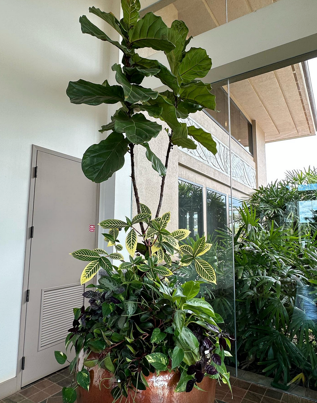 Luxury Commercial Plant Service