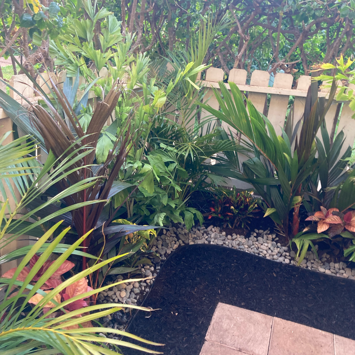 Maui Condo Landscape Designs