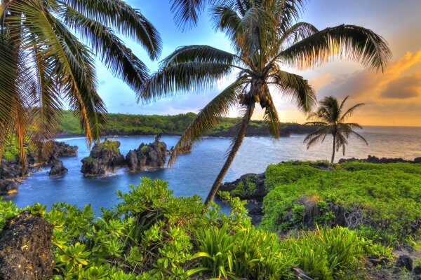 Maui "Valley Isle"