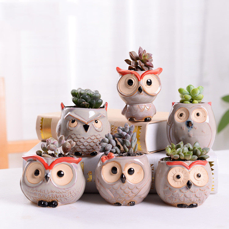 ceramic owl flower pot Stylish Owl Ceramic Mini Succulent Planter