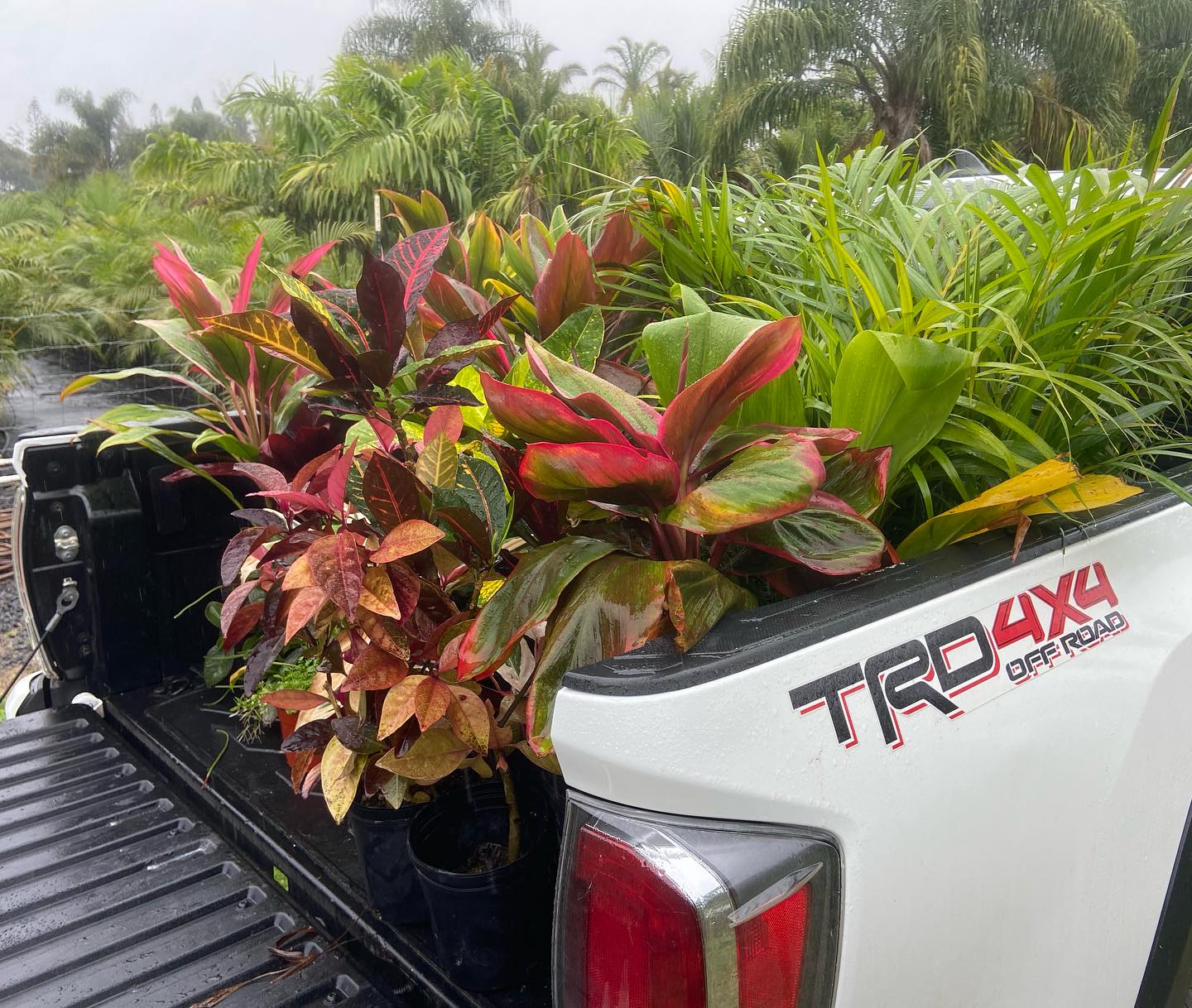 2026 Landscape & Garden Offerings