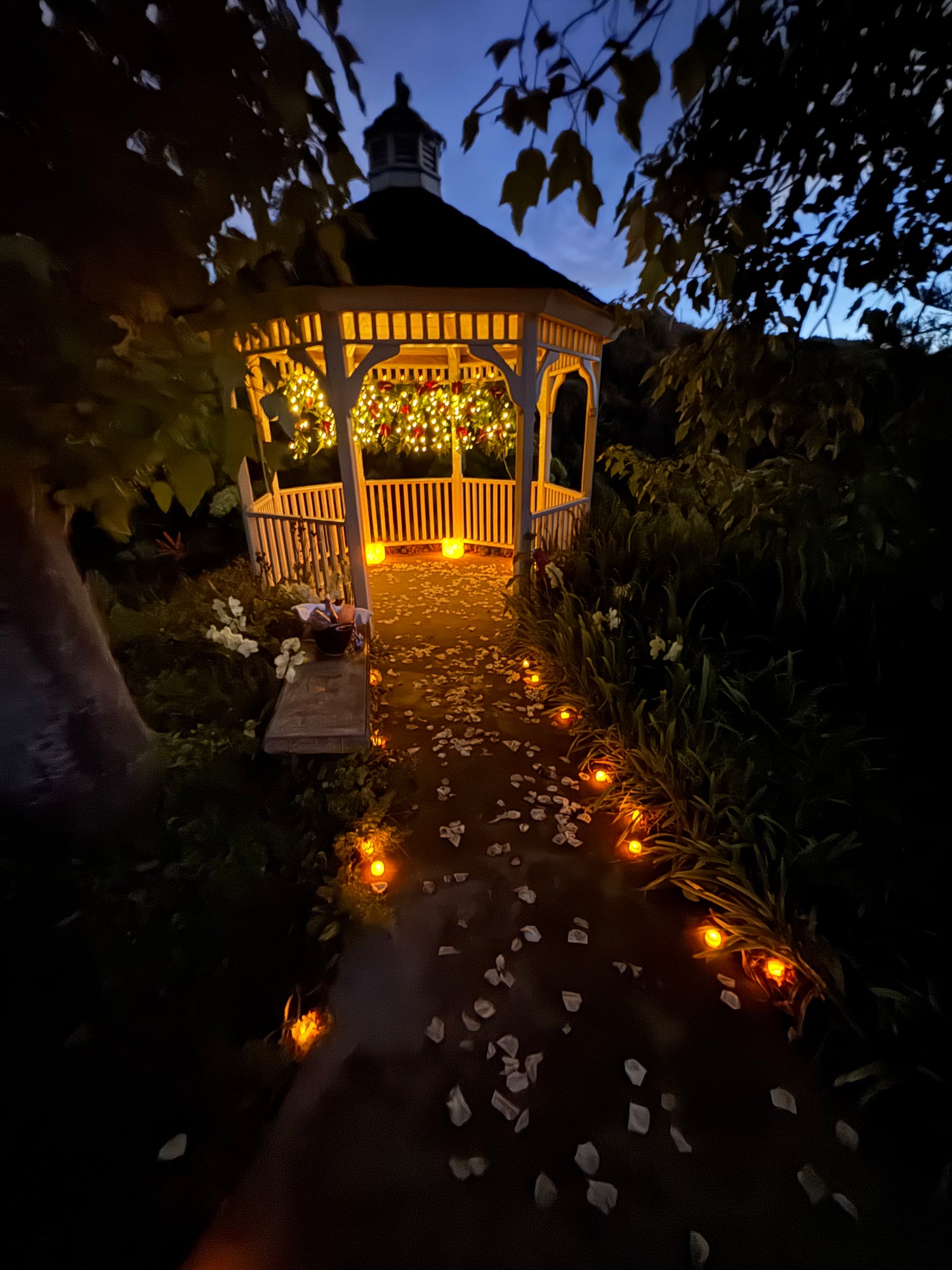 The Proposal, Wedding Vows, Vow Renewal Or Elopement