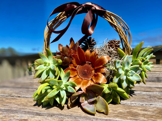 Fall Wreath with Dried Protea and Pine Cones