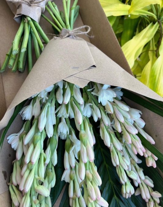 Lift your mood with Kula Grown Tuberose