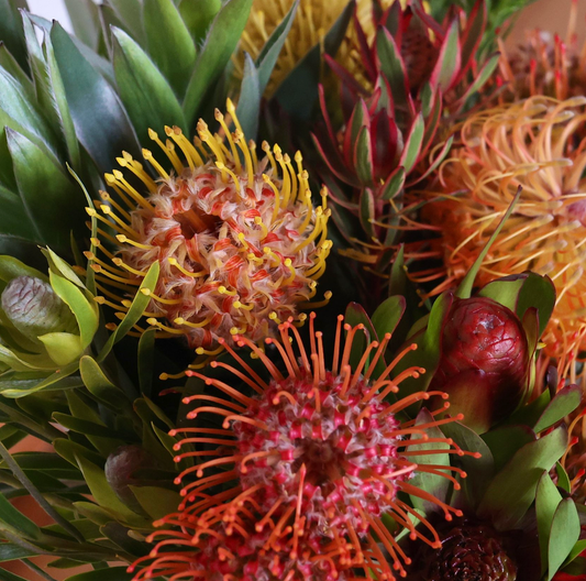 Pin Cushion Ribbon Protea - Maui Joy Bouquet