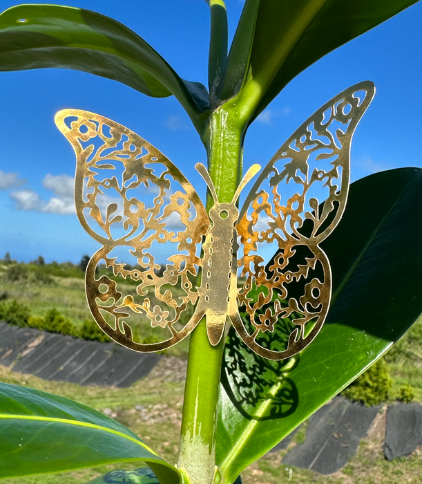 Puakenikeni Love - Congratulations, I Love you, All Occasion, Grow for Lei!
