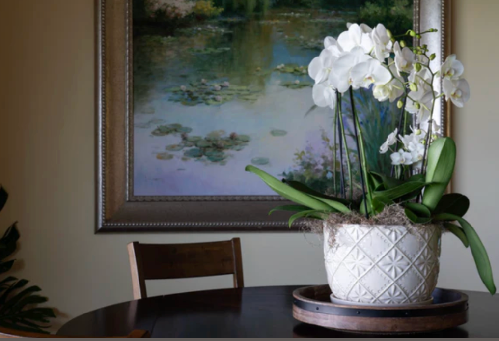 Grand Decor Orchid Arrangment