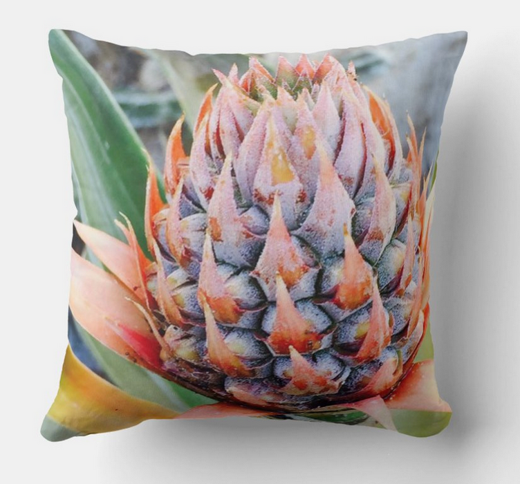 Maui Art Photography ~ Accent Pillows