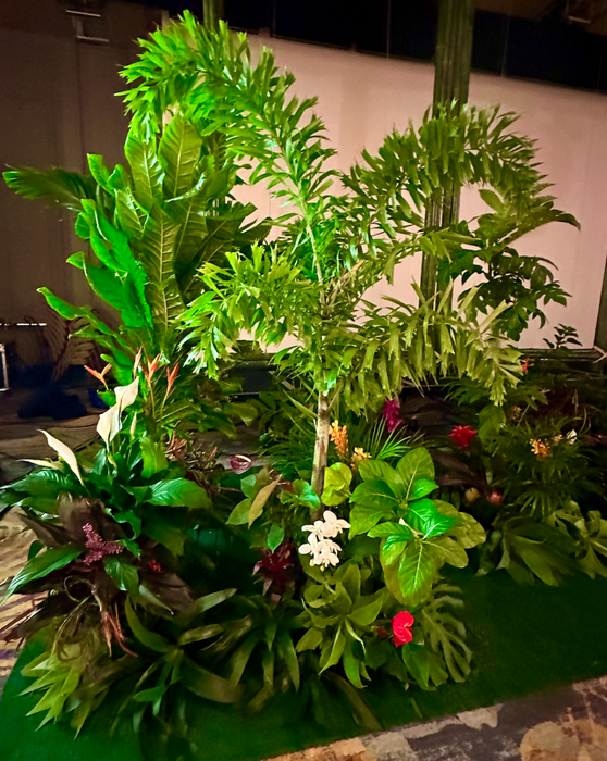 FOREST SALE ~ ON LARGE BULK ORDERING ~  FRUIT TREE, FLOWERING TREE & PLANT PACKAGES