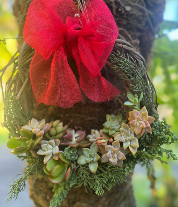 succulent christmas wreath Rustic Succulent Wreath ~ Available in Heart shape for Valentine's Day — Lehua's Forest, Flower Arrangements & Fruit Trees