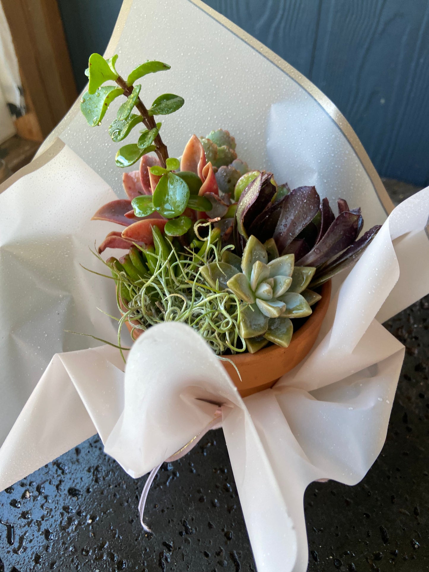 Simple Sentiment & Event Table Gifts - Plants included