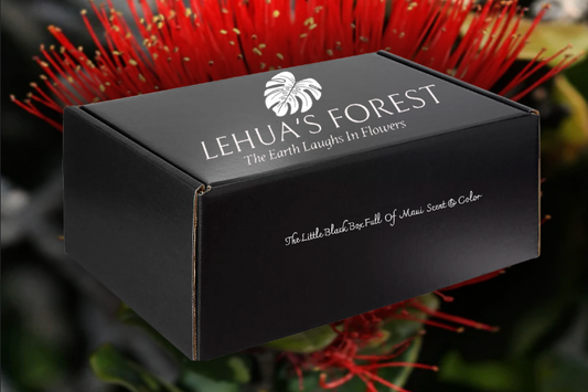 Hawaii Made Gift Boxes ~ The little Black Box from Maui ~ Nation Wide Shipping
