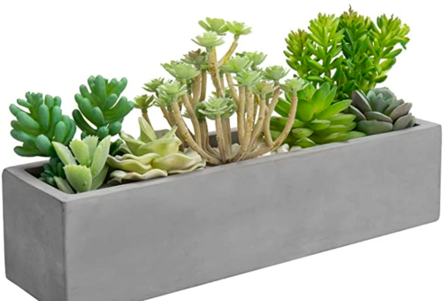 12-inch Modern Decorative Gray Concrete Rectangular Minimalist Succulent