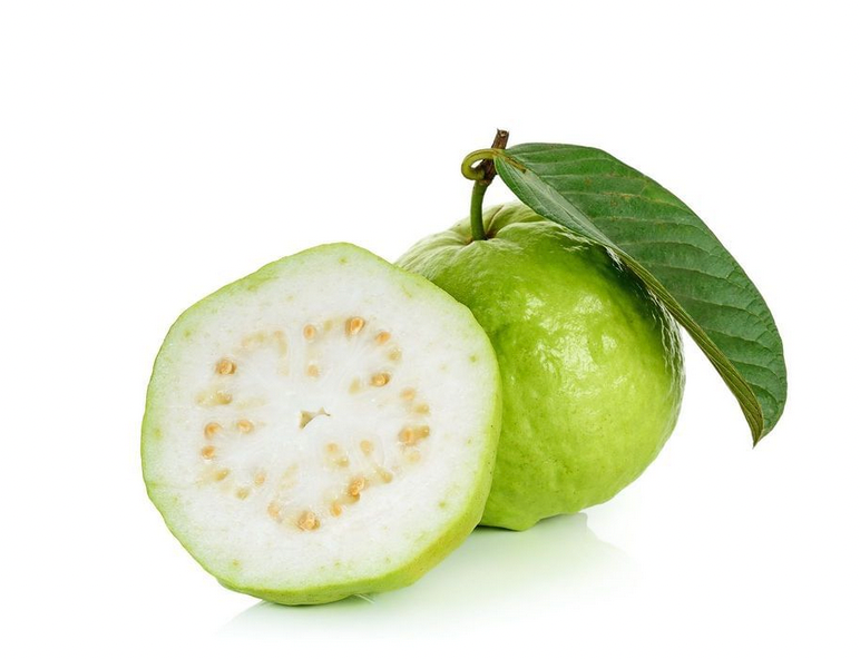White Guava Tree