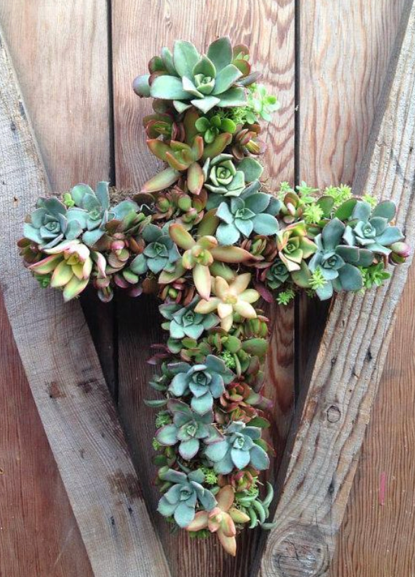 easter succulent arrangements Succulent Wreaths, Cross, Heart, Round for everyday Home Decor