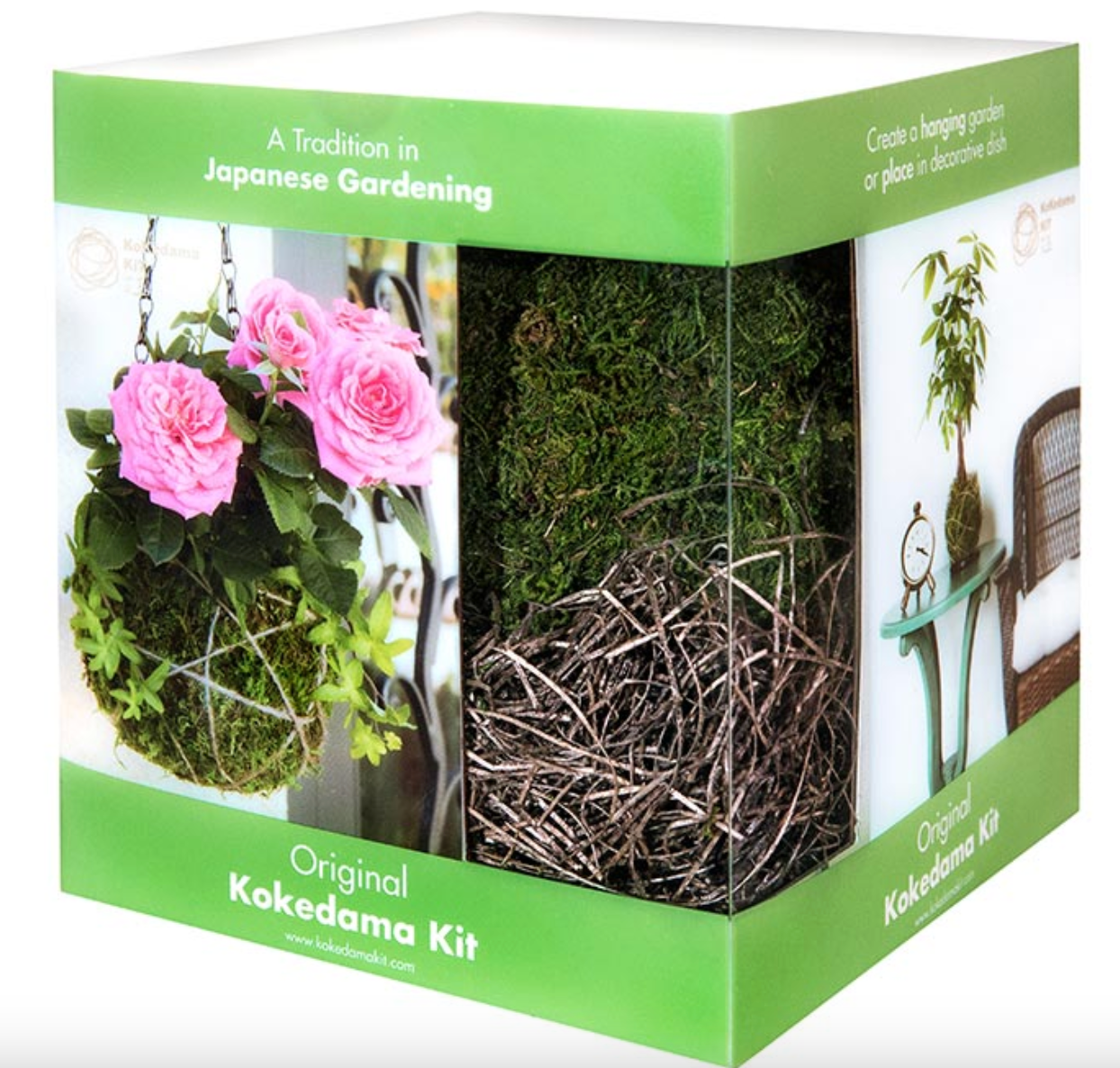 Kokedama Succulent & Orchid Kit 6"