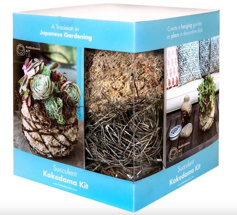 Kokedama Succulent & Orchid Kit 6"