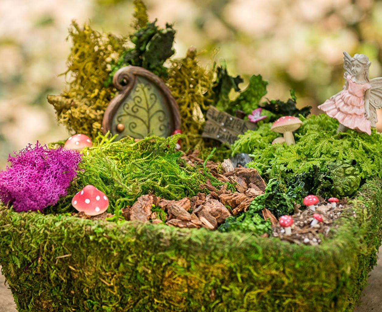 Fairy Garden Moss Basket Kit