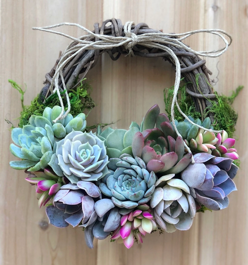 Succulent Wreaths, Cross, Heart, Round for everyday Home Decor