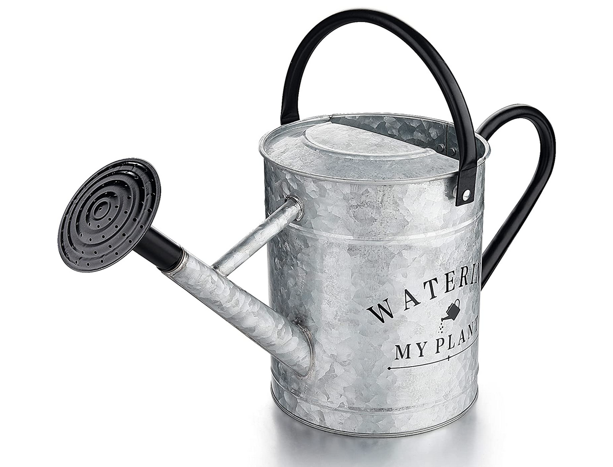 Galvanized Countryside Style Watering Can