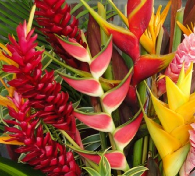 Fresh Flower Arrangements