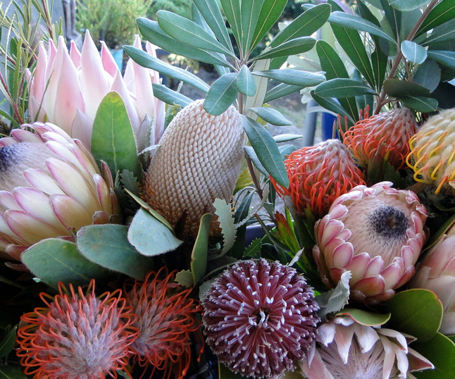 Fresh Flower Arrangements